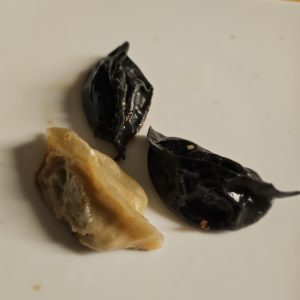 Chicken and Coriander